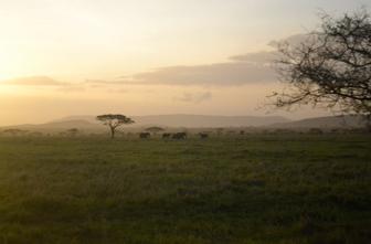 Tanzanija