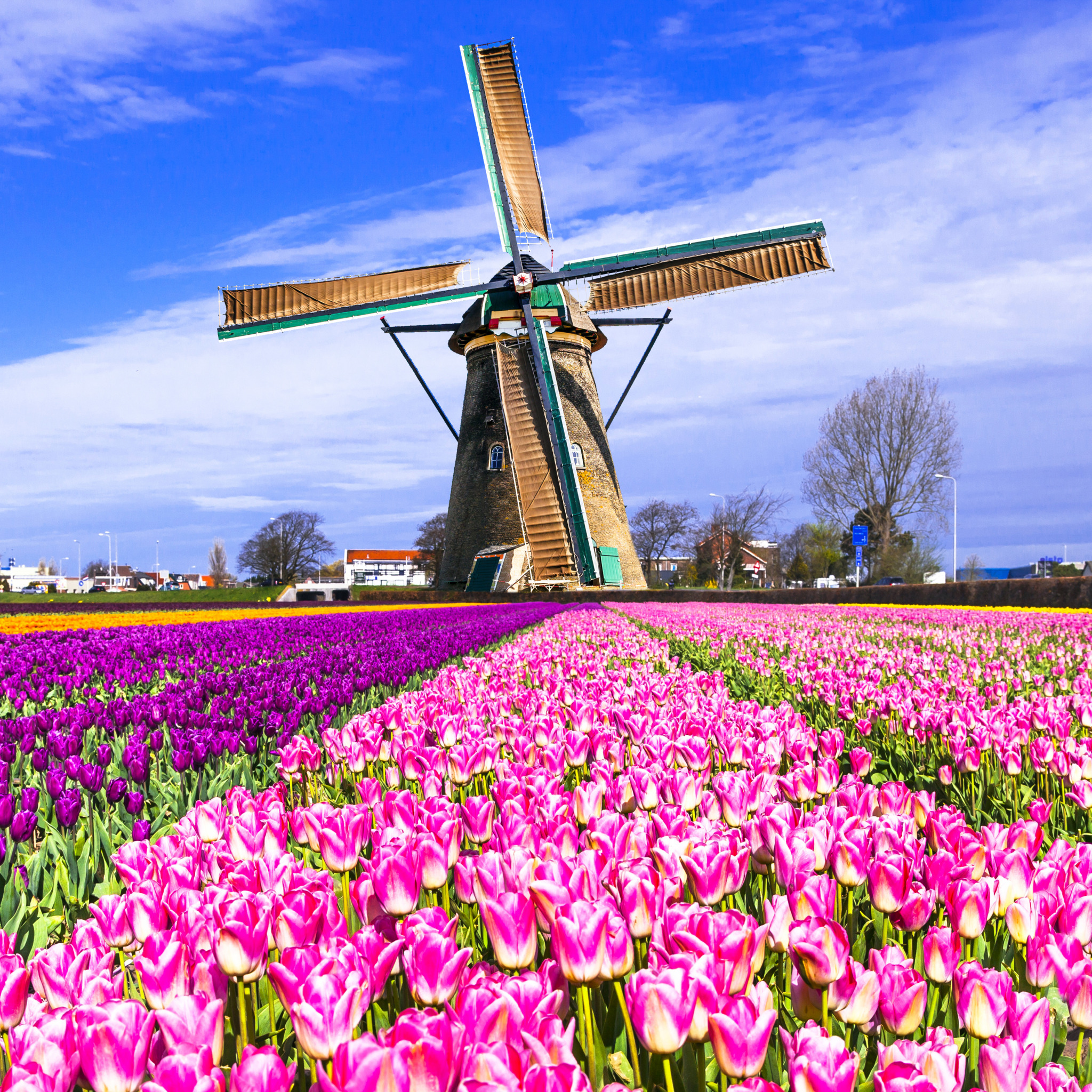 Народное достояние